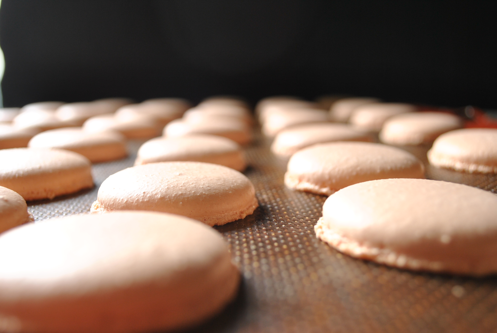 Macarons appena sfornati